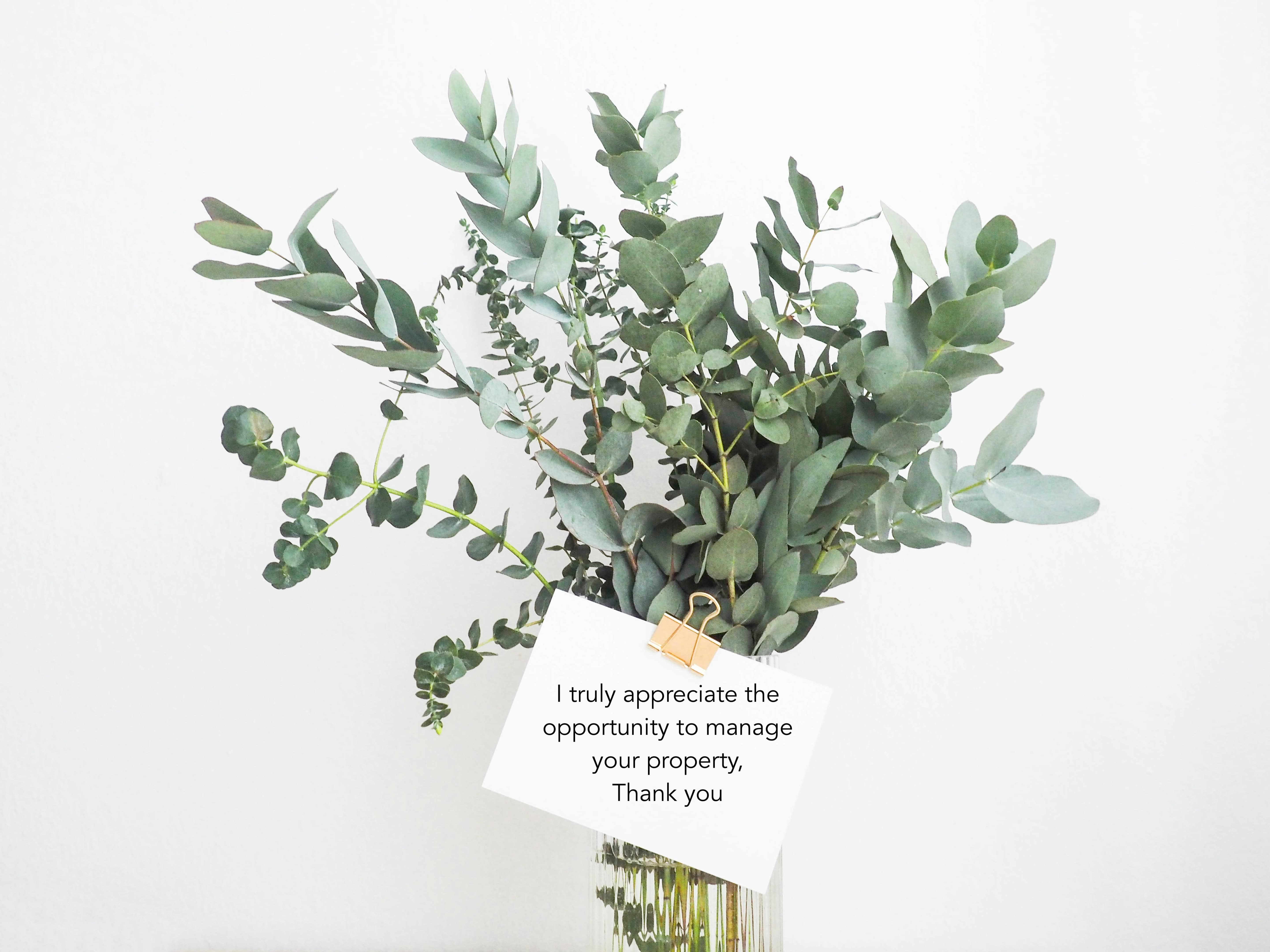 rental property management Adelaide